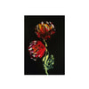 Firecracker — Red Peonies on Black, Botanical Wall Art