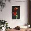 Firecracker — Red Peonies on Black, Botanical Wall Art