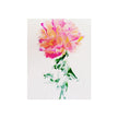 Marilyn's Rose – Pink Peony Floral Giclée Art Print