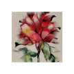 Red Flower – Soft Red Bloom Floral Fine Art Poster 24″ x 24″ / Matte Poster